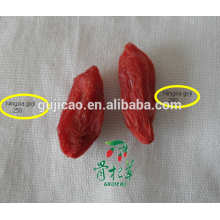 Baie de Goji / Wolfberry / Lycium Barbarum L Baie de Goji / Wolfberry / Lycium Barbarum L Specification